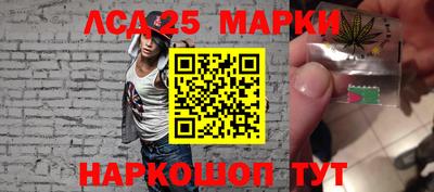 бошки Гатчина