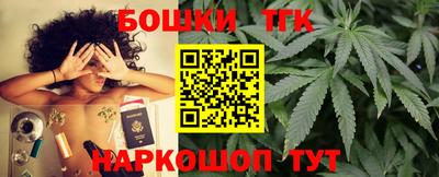 шишки Гай