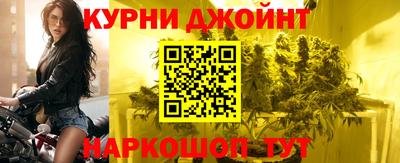 шишки Гай