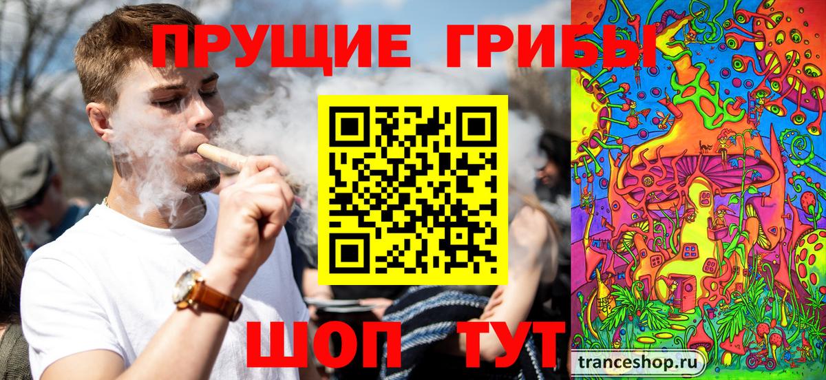 Новосибирск  Псилоцибиновые грибы Magic Shrooms  Вход с VPN  Галлюциногенные грибы прущие грибы 
